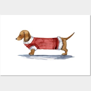 Tan Dachshund Posters and Art